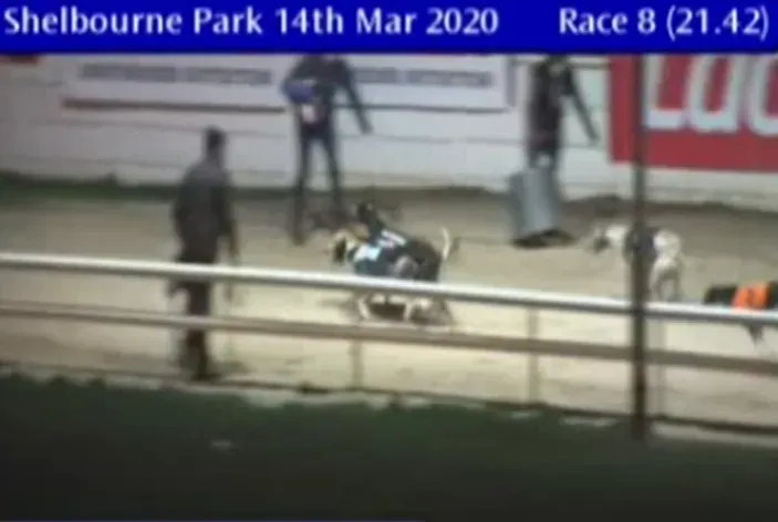 shelbourne park 14 march 2020 49686059958 o