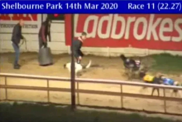 shelbourne park 14 march 2020 49686892612 o