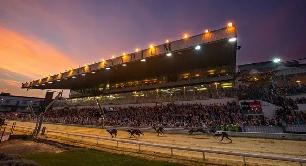 shelbourneParkGreyhoundRacing2 large
