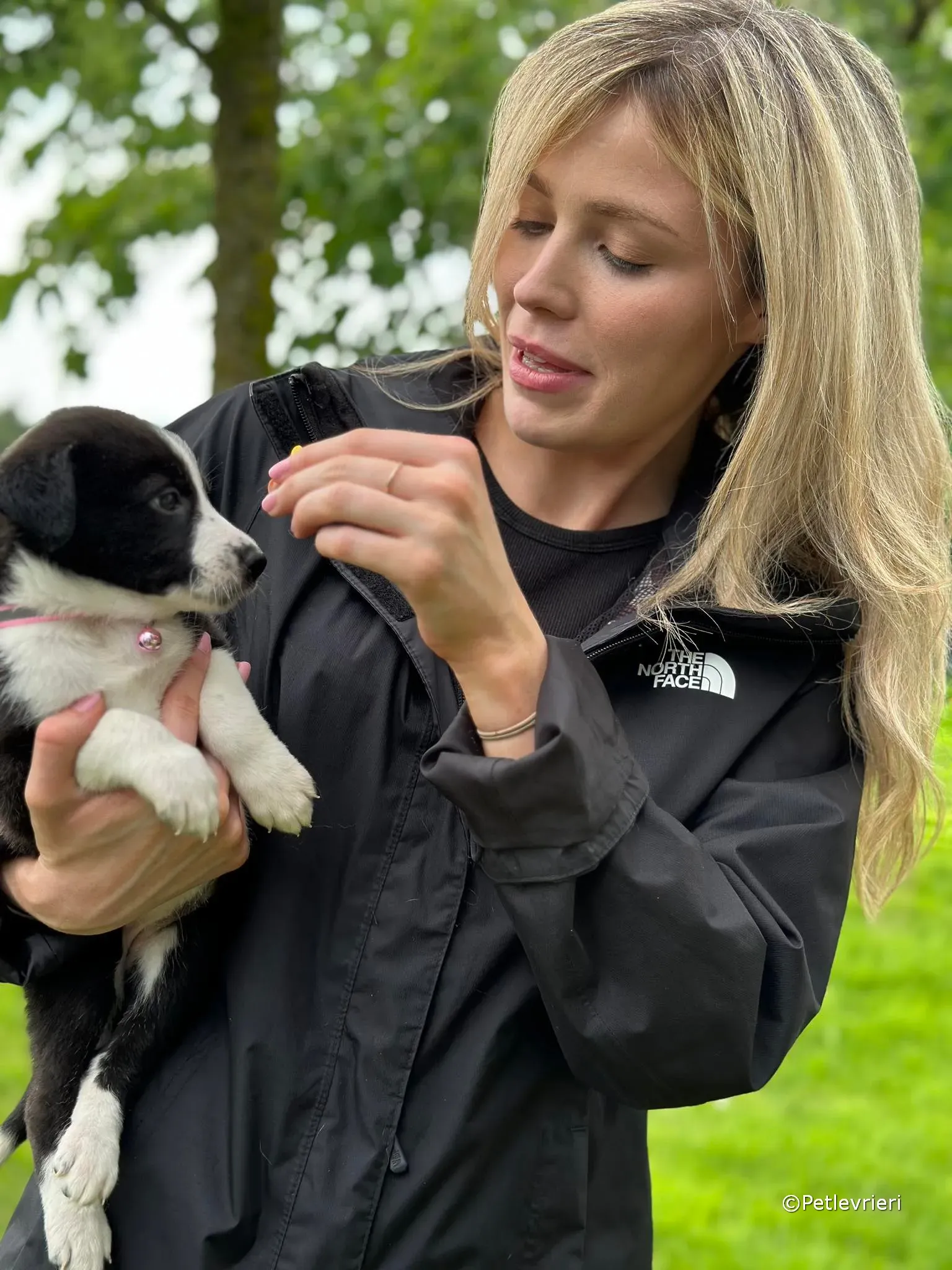 shelley adozione greyhound petlevrieri 07