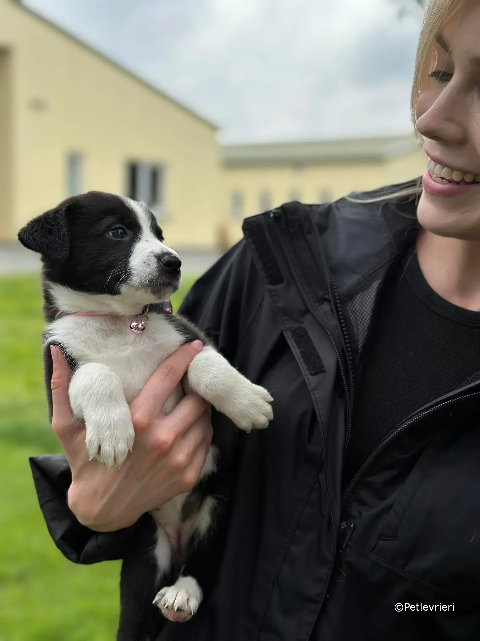 shelley adozione greyhound petlevrieri 13