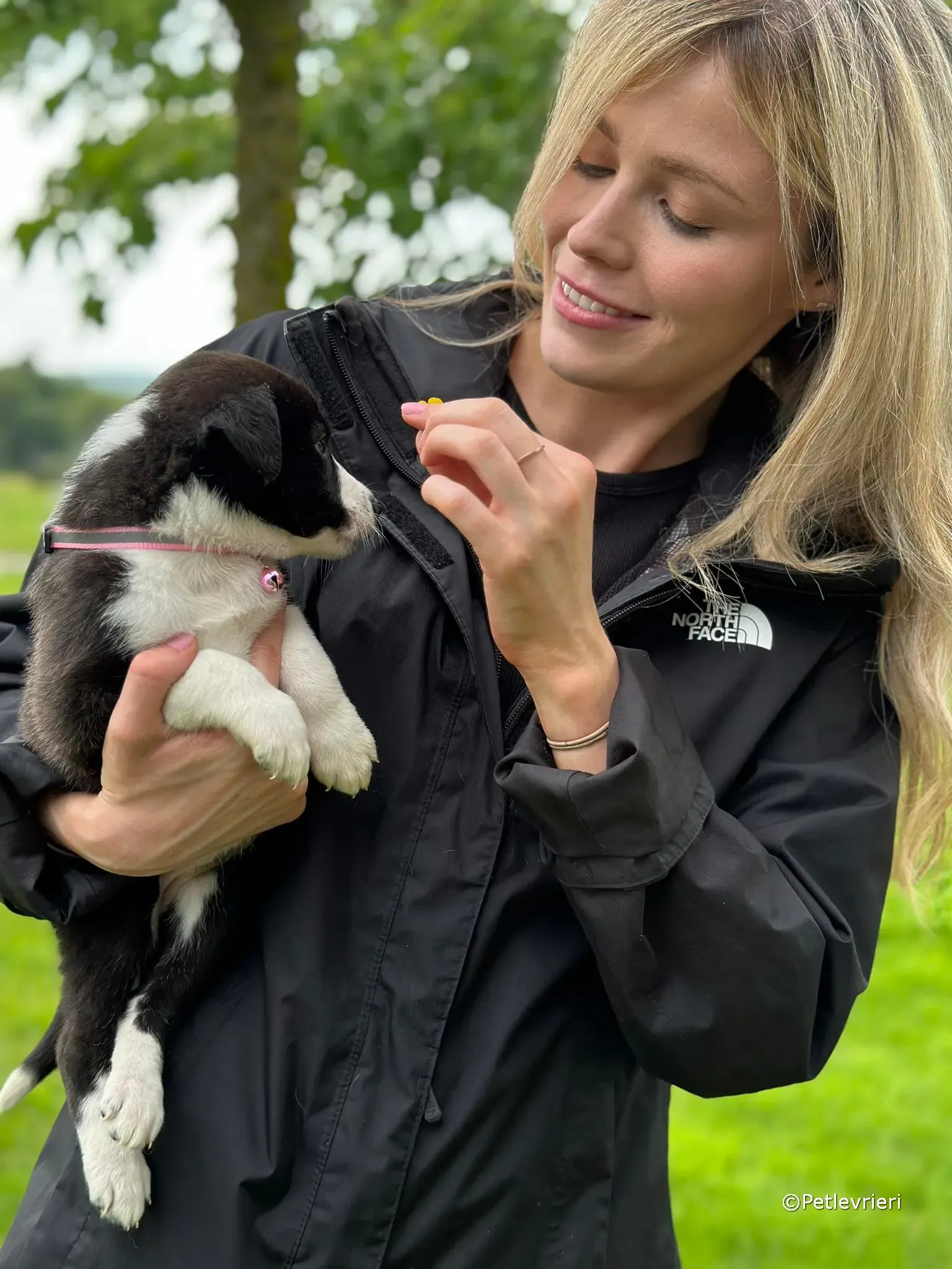 shelley adozione greyhound petlevrieri 15