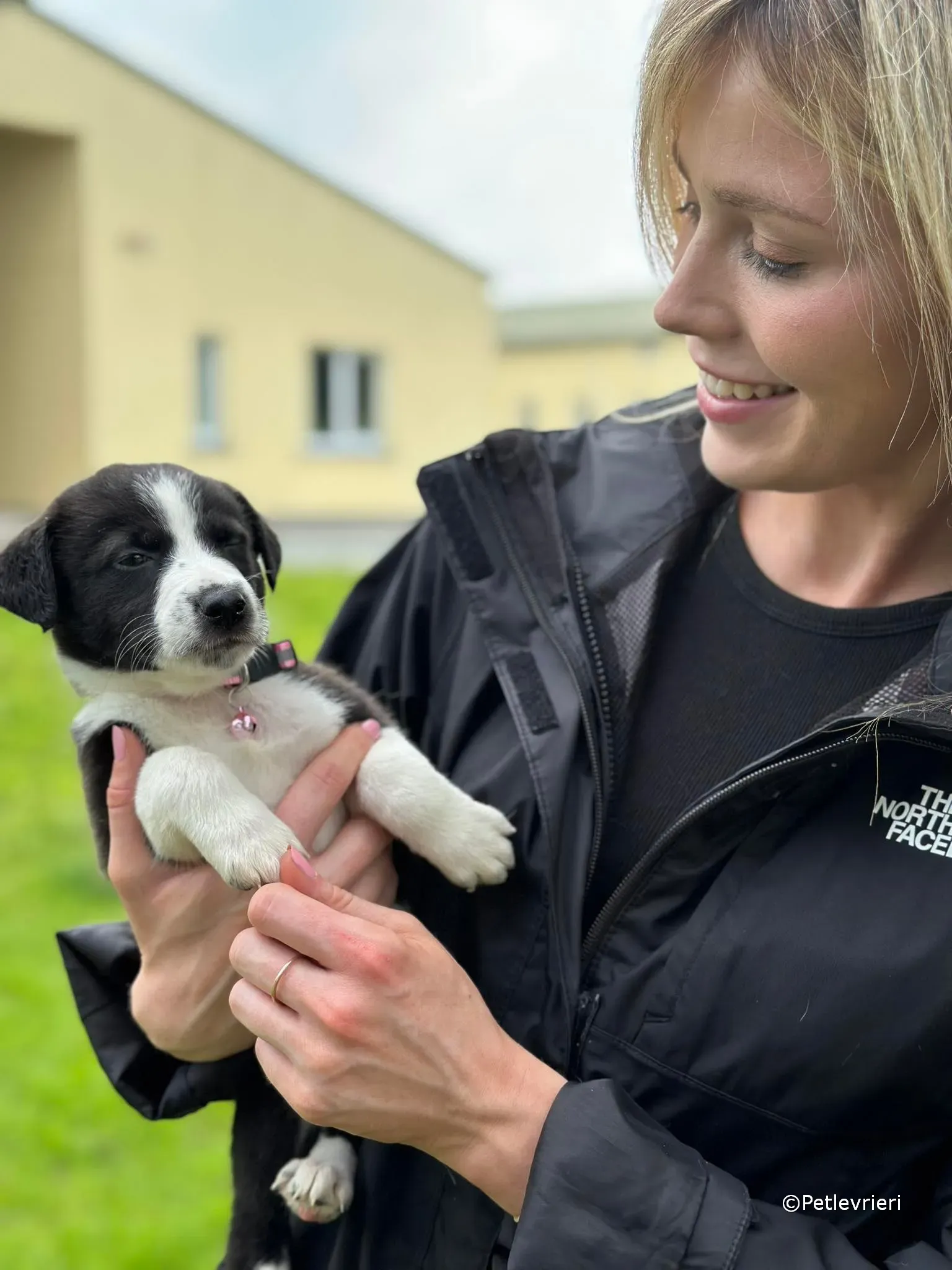 shelley adozione greyhound petlevrieri 25