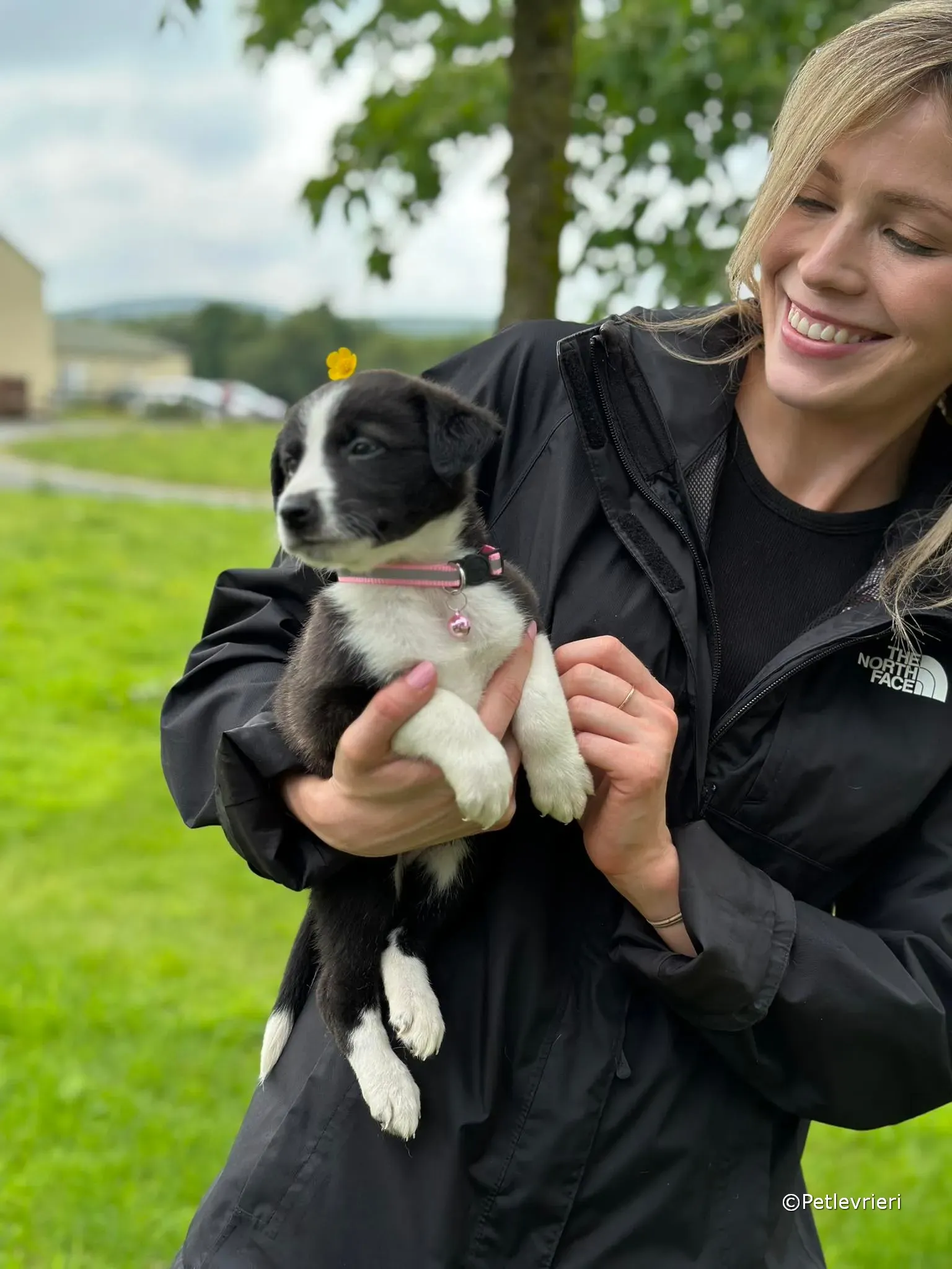 shelley adozione greyhound petlevrieri 37