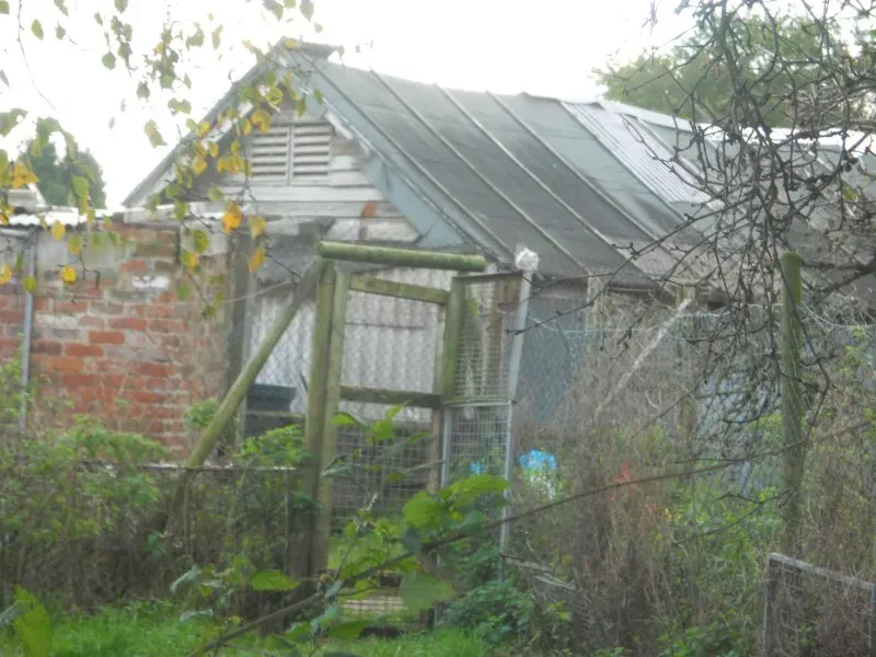 sidelongkennel 261011.jpgoriginal