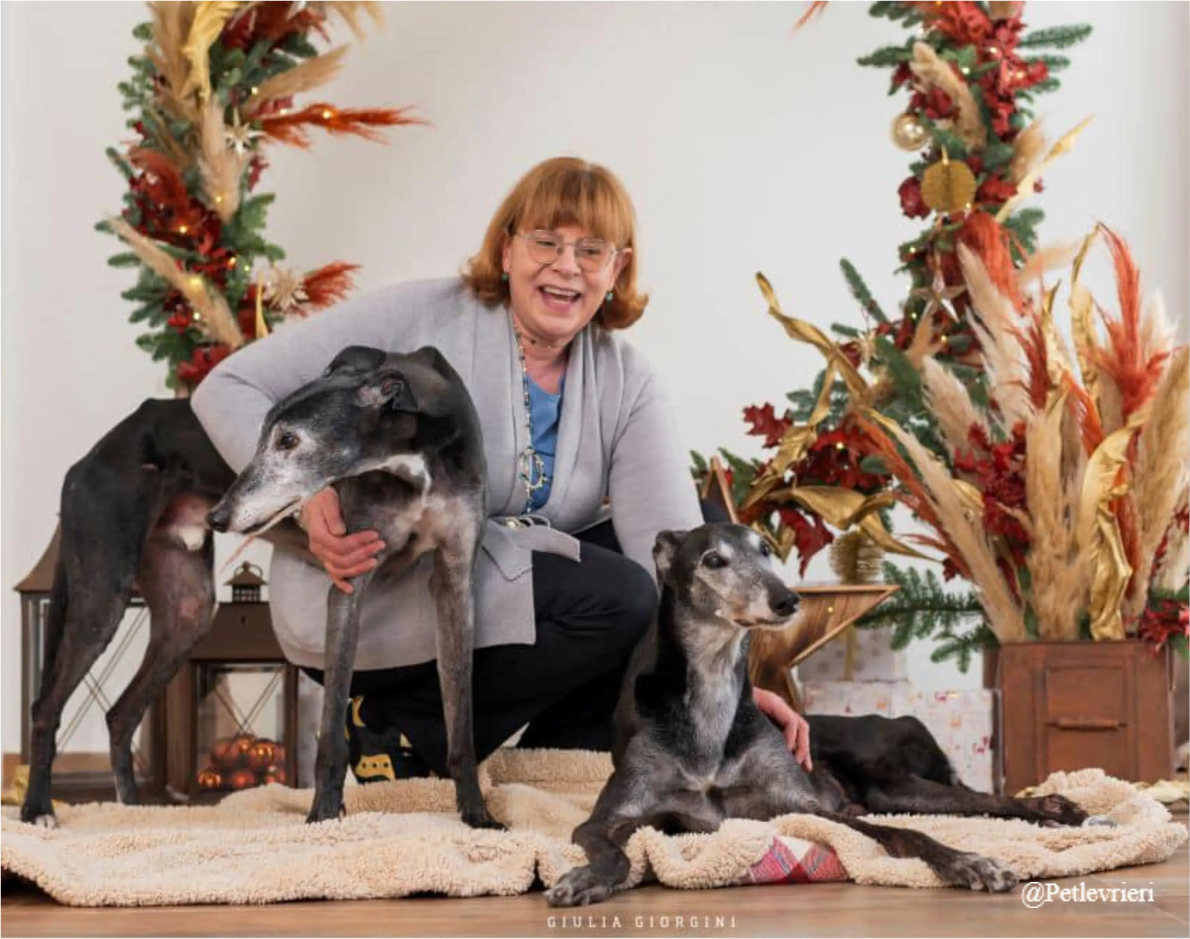 silverina rory pet levrieri natale 2021