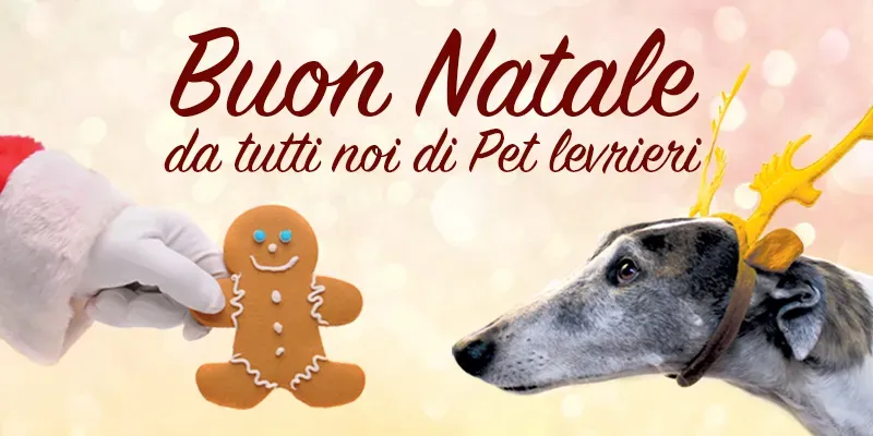 sito natale 2018 PET