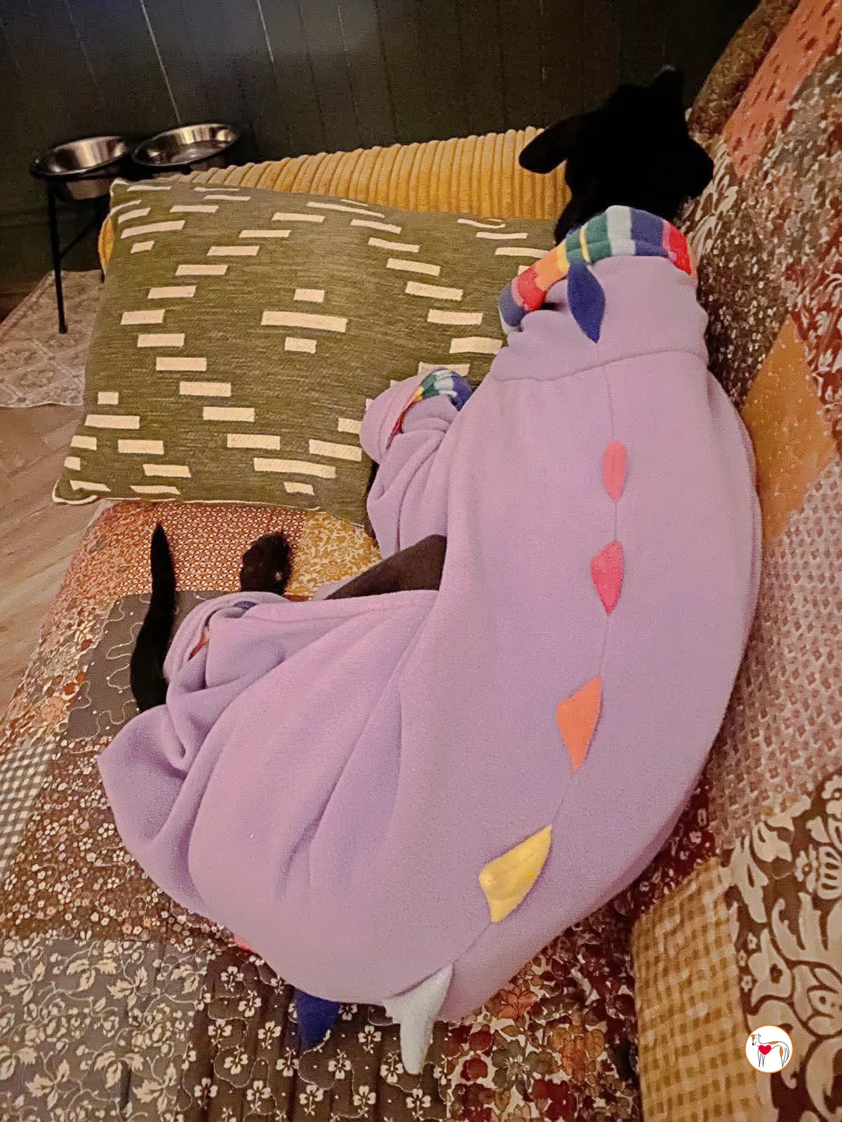 sloane grey adozione 13