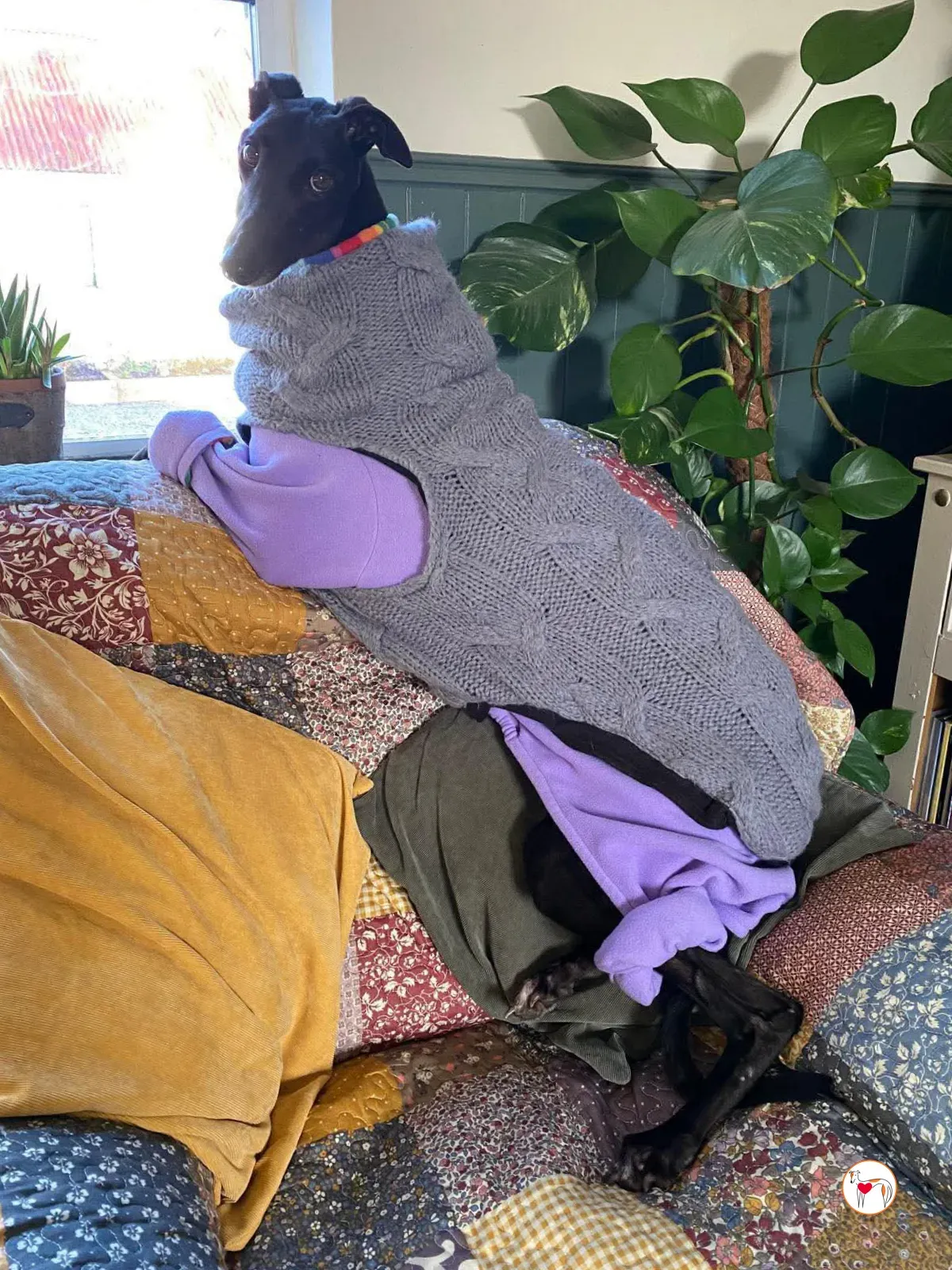 sloane grey adozione 21