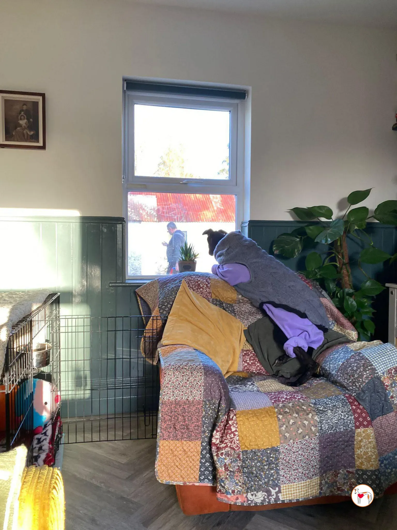 sloane grey adozione 24