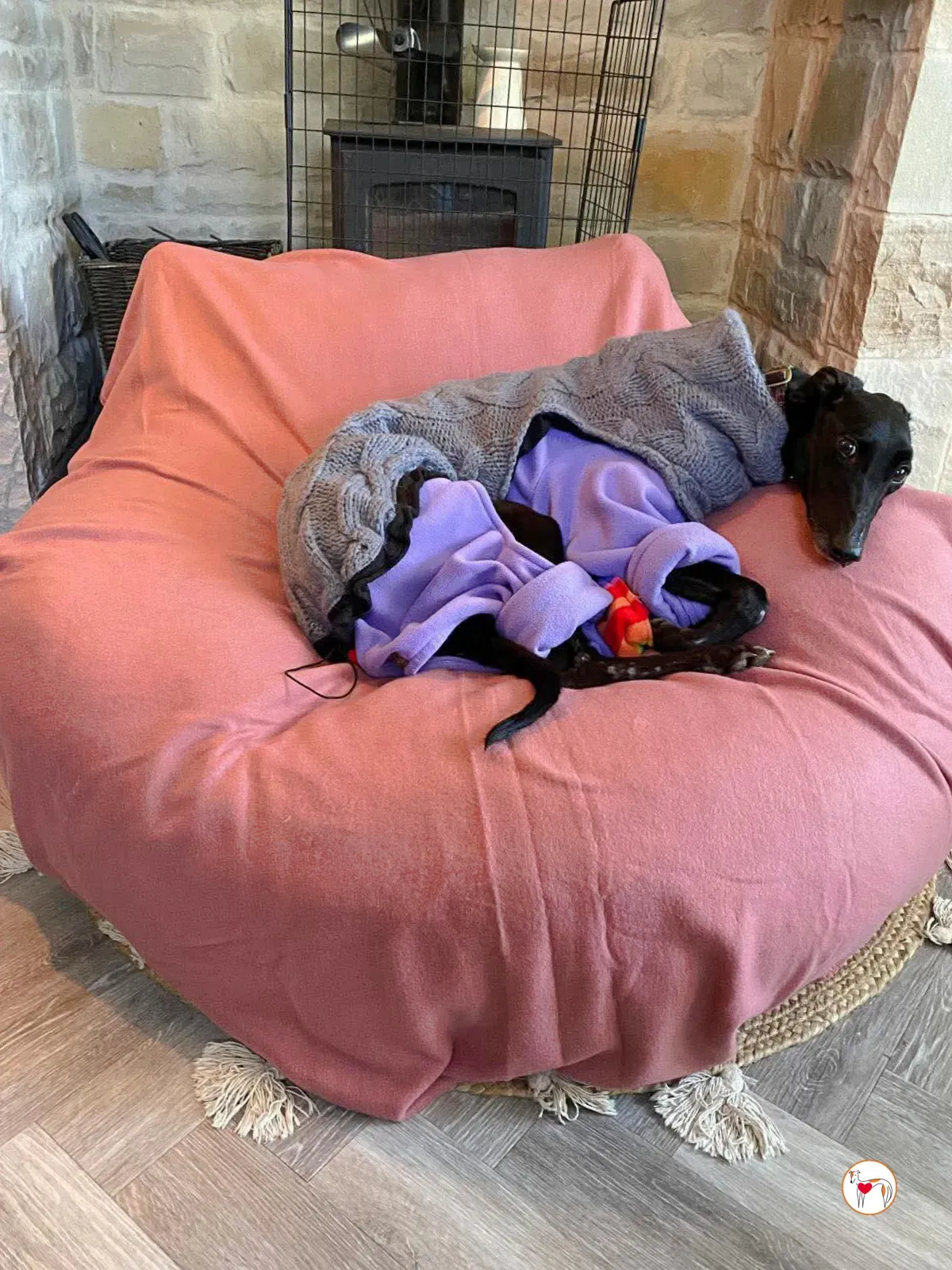 sloane grey adozione 27