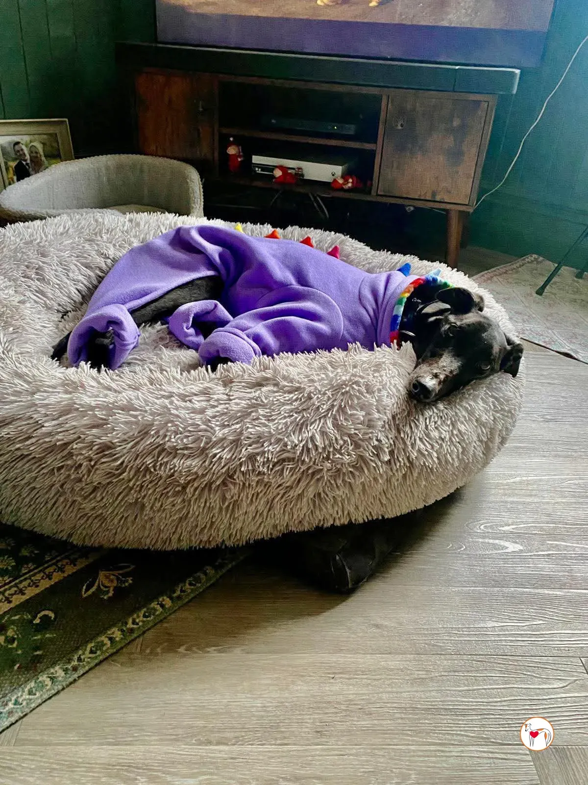 sloane grey adozione 28