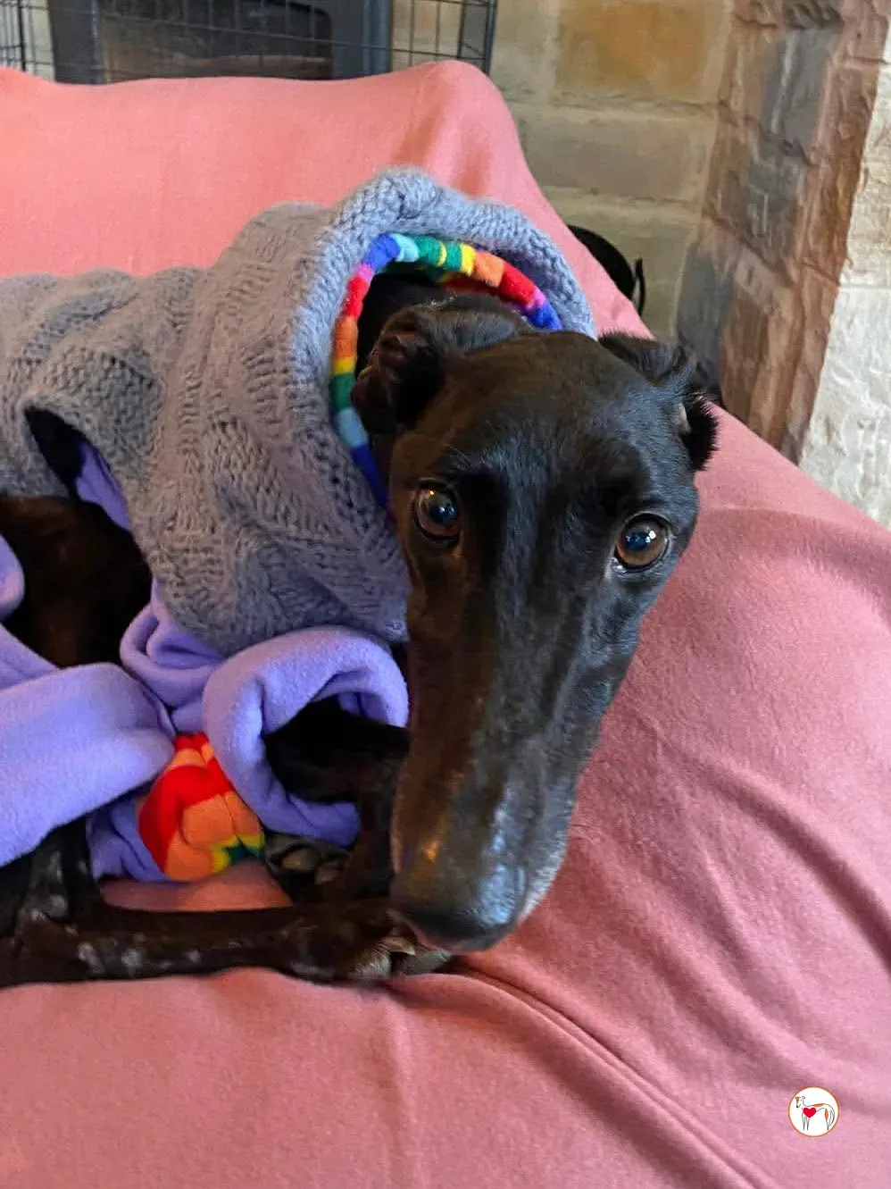 sloane grey adozione 34