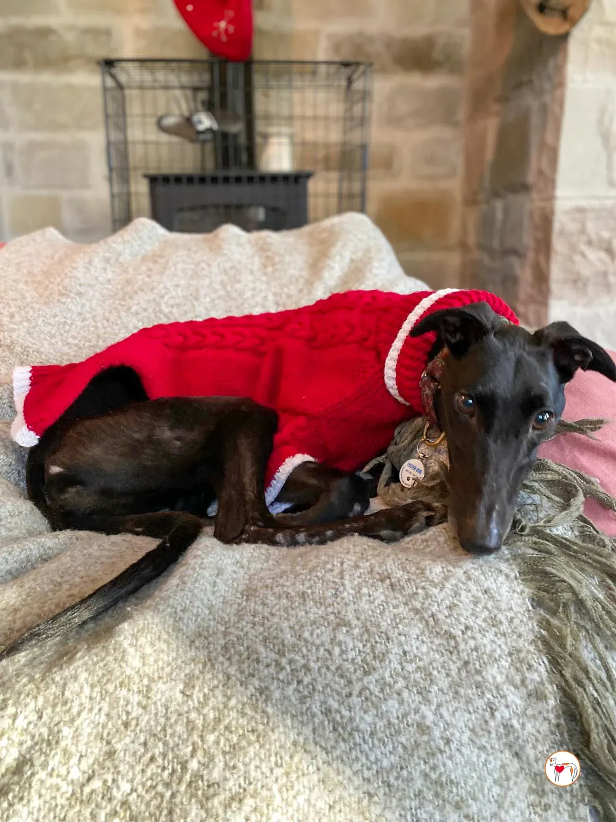 sloane grey adozione 36