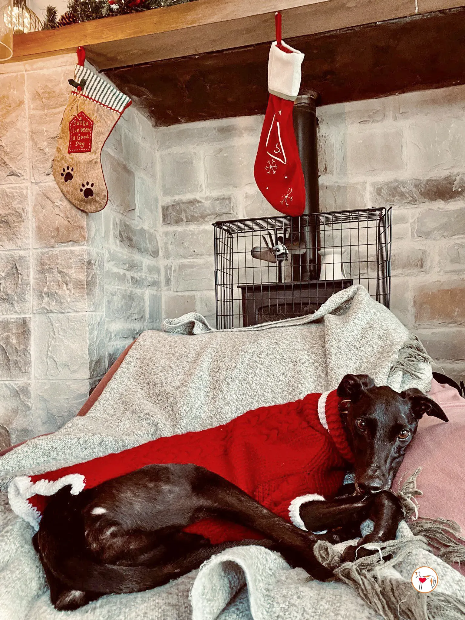 sloane grey adozione 37