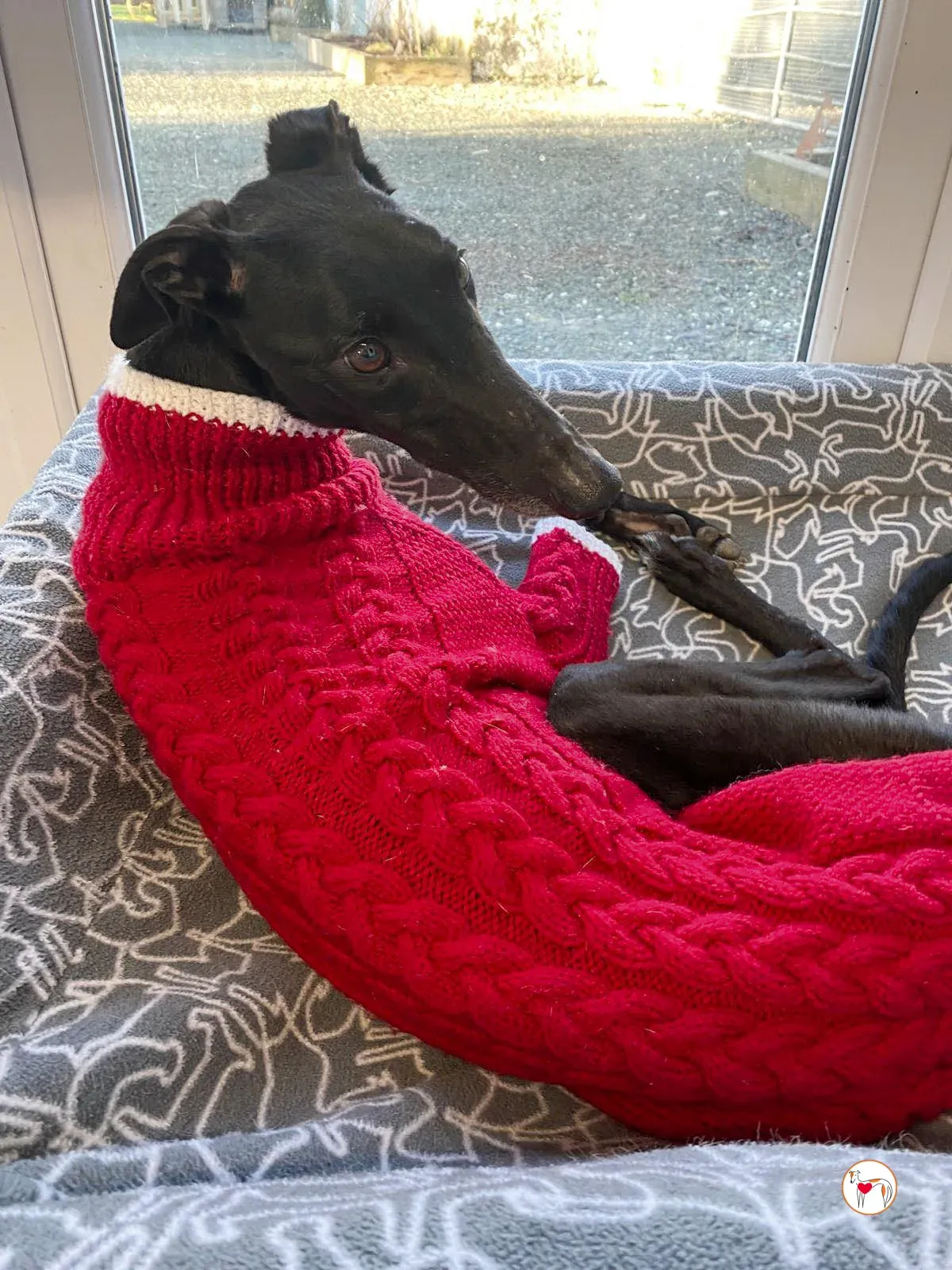 sloane grey adozione 38