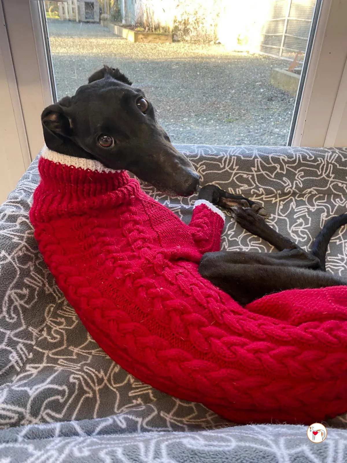 sloane grey adozione 39