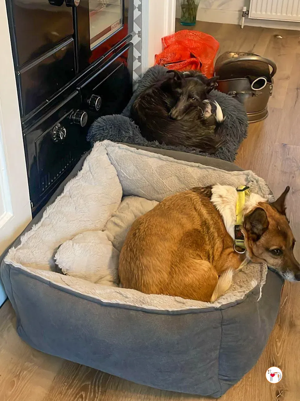 sloane grey adozione 40