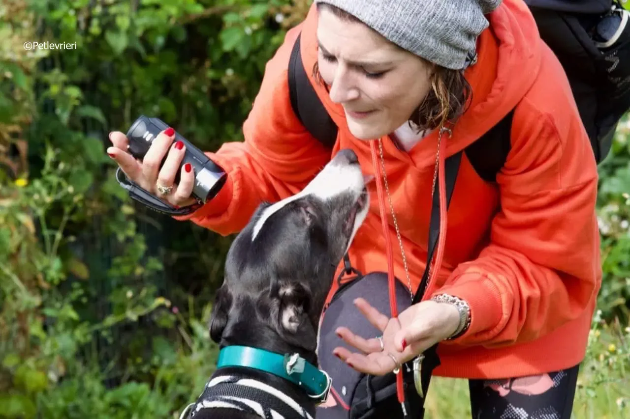 smurf adozione levrieri greyhound 10