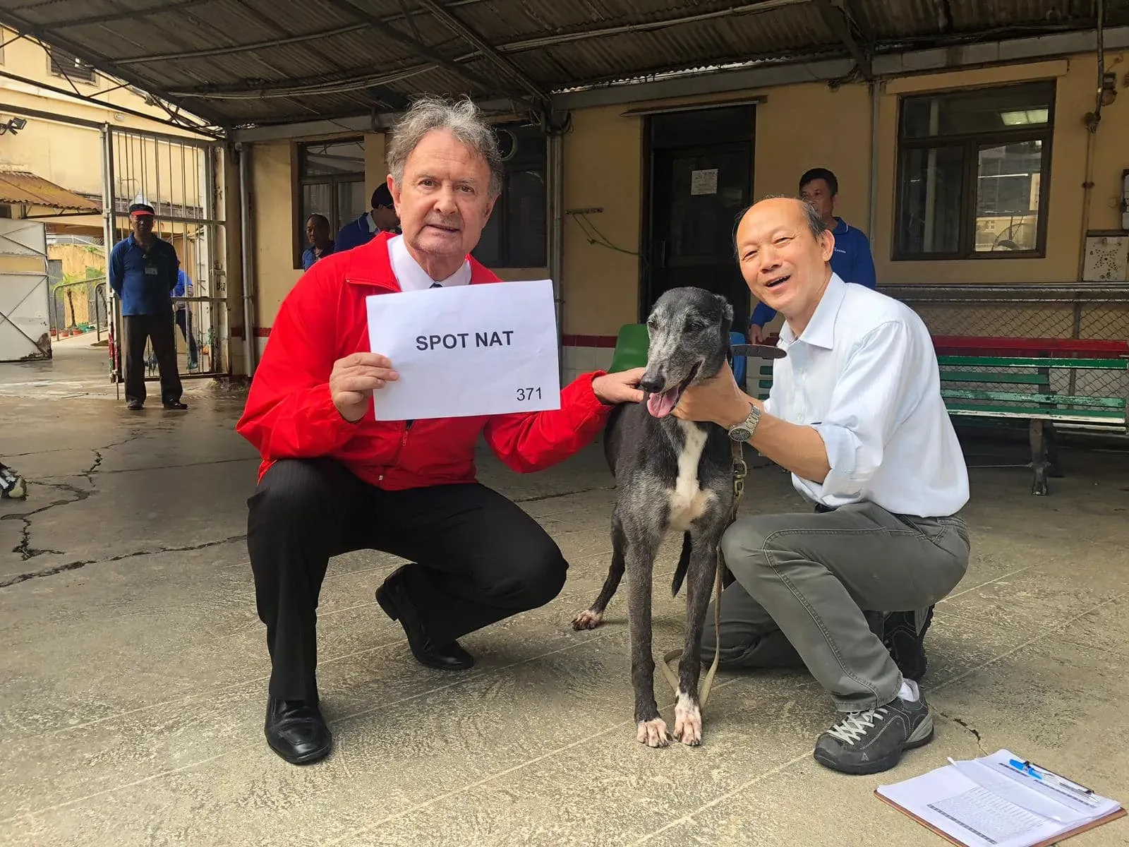 spot nat partenza greyhound macao