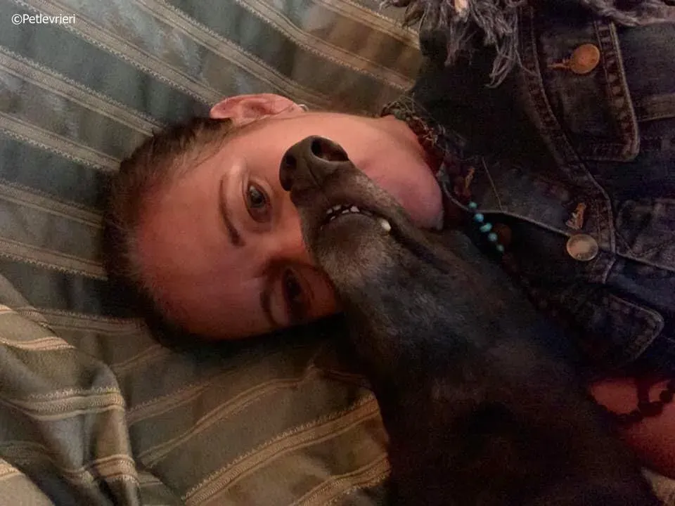 spritely keroma adozione greyhound macao 10