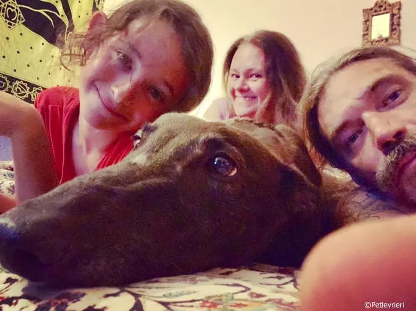 spritely keroma adozione greyhound macao 5