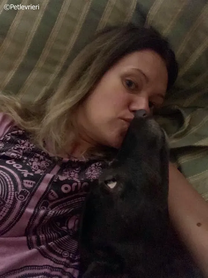 spritely keroma adozione greyhound macao 6