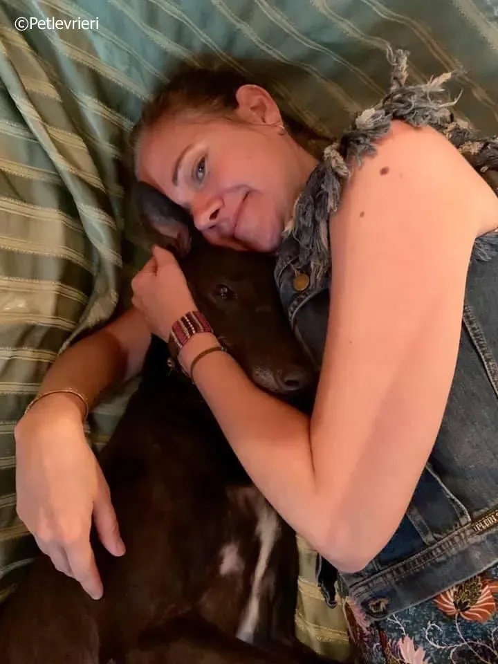 spritely keroma adozione greyhound macao 9