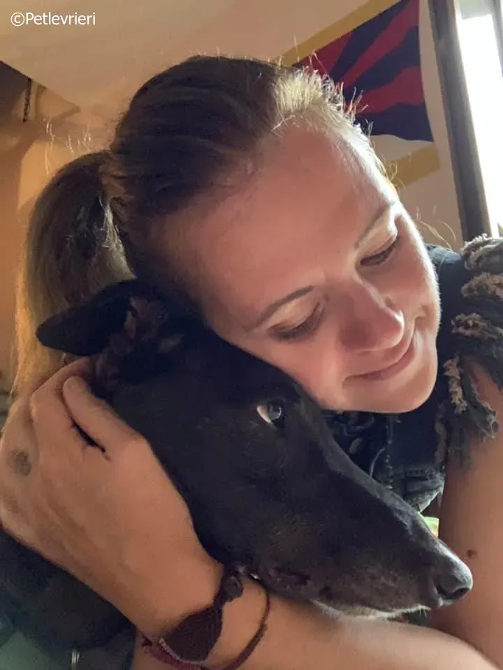 spritely keroma adozione greyhound macao 4