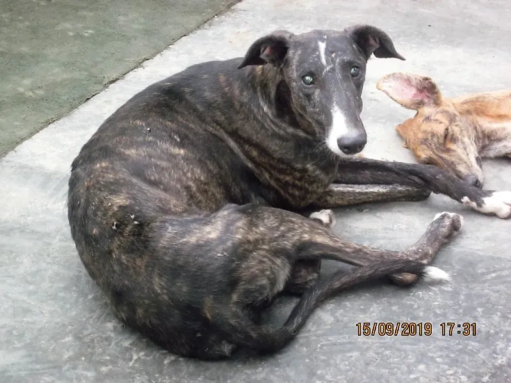 stevie4941000024054220