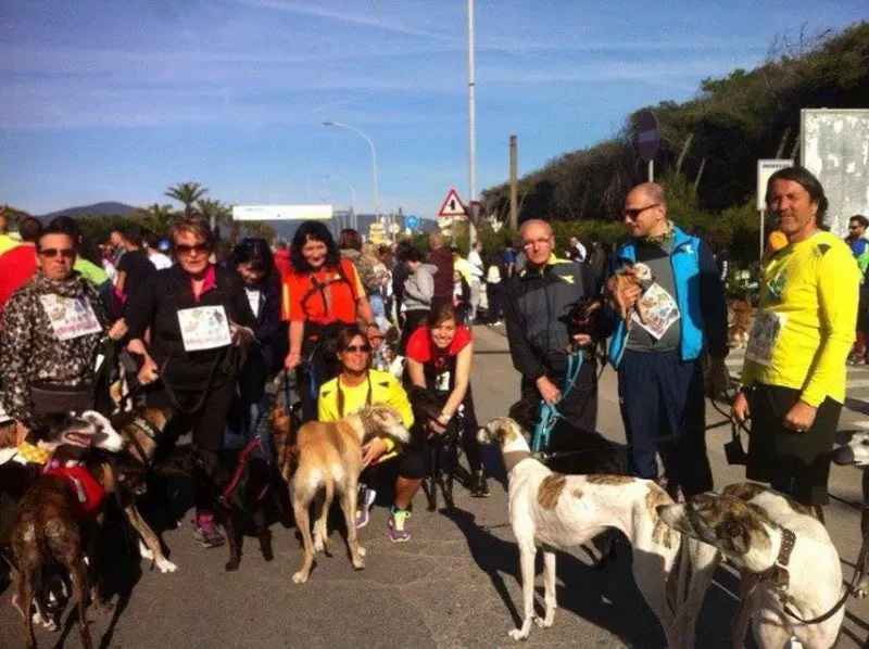 stracarrara pronti via