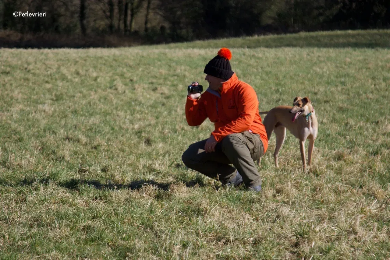 suhani adozione levrieri greyhound 17