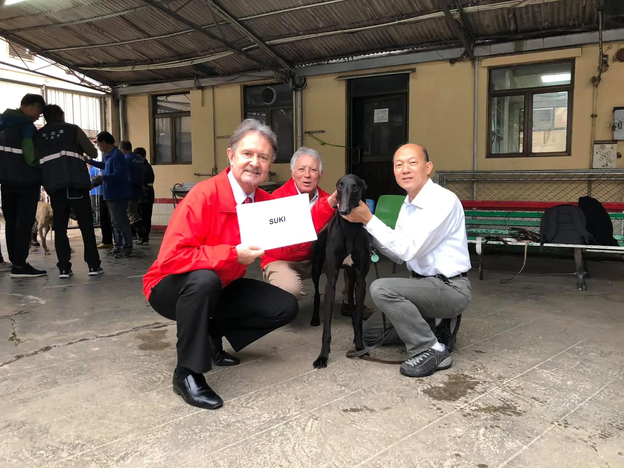 suki partenza greyhound macao