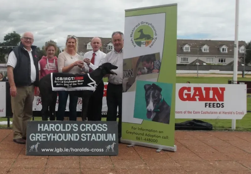 sunbeam oscar junior male winner