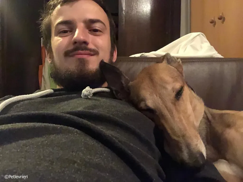 sure take first greyhound macao 4