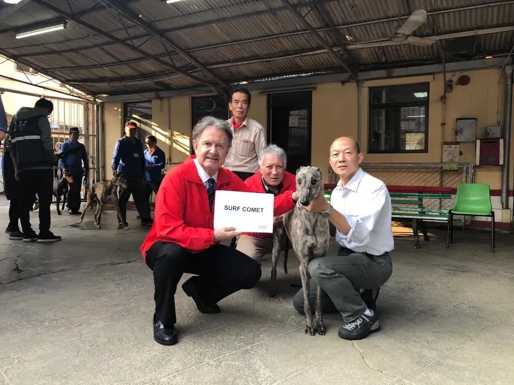 surf comet partenza greyhound macao