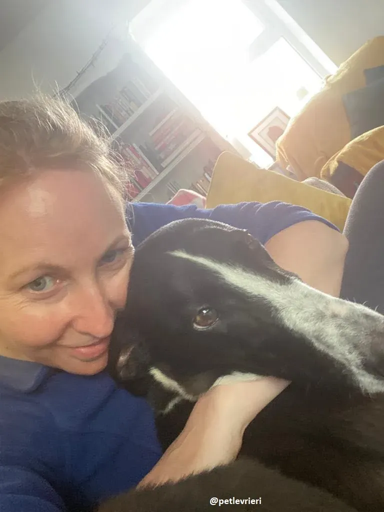 ted adozione greyhound 5 1