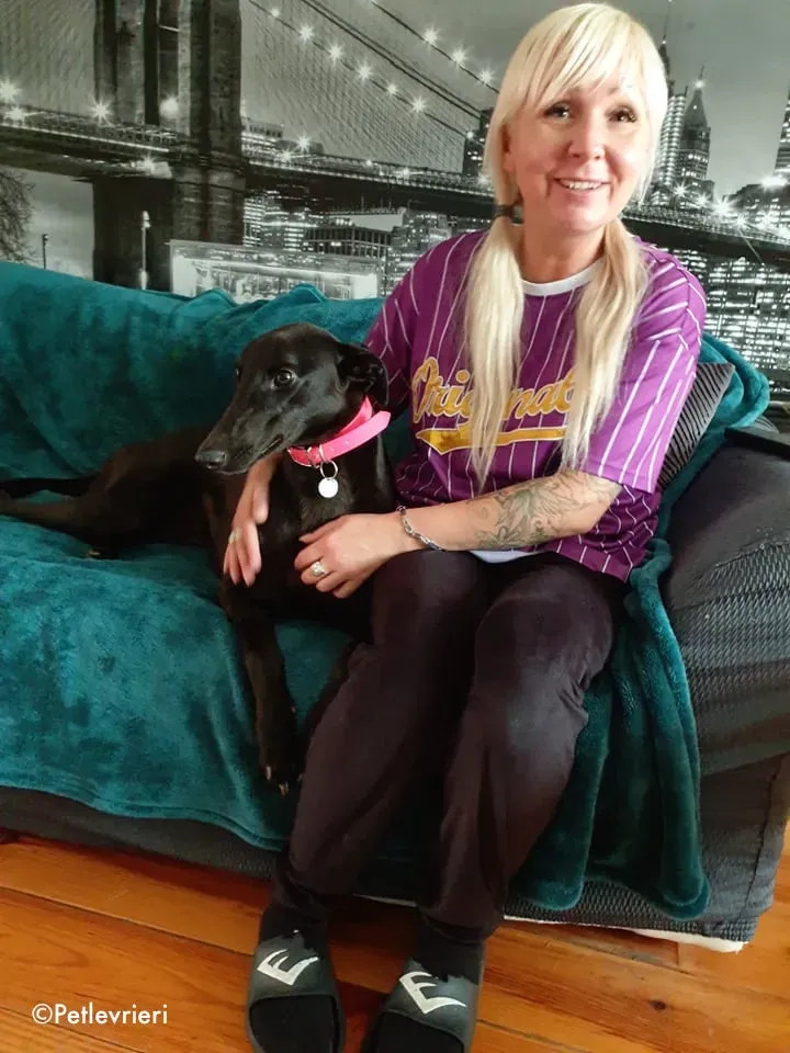 tina adozione levrieri greyhound lurcher 3