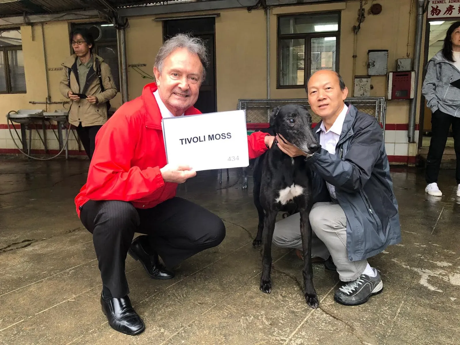 tivoli moss partenza greyhound macao