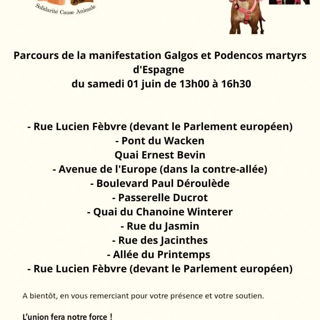 volantino manifestazione strasburgo 1° giugno 2024 retro 1