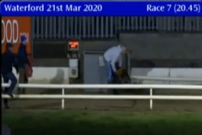 waterford greyhound track 21 march 2020 49687387398 o