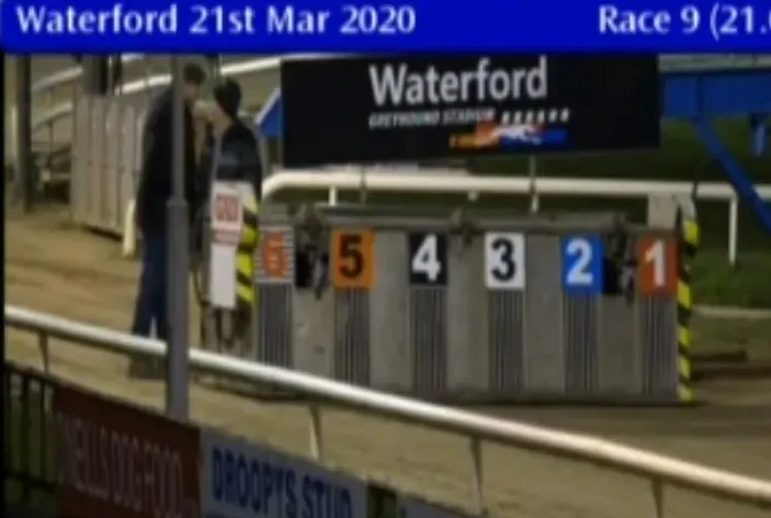 waterford greyhound track 21 march 2020 49687387433 o