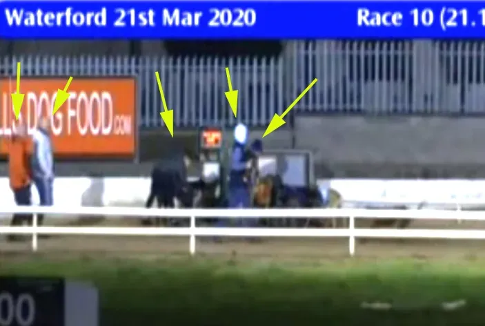 waterford greyhound track 21 march 2020 49688223417 o
