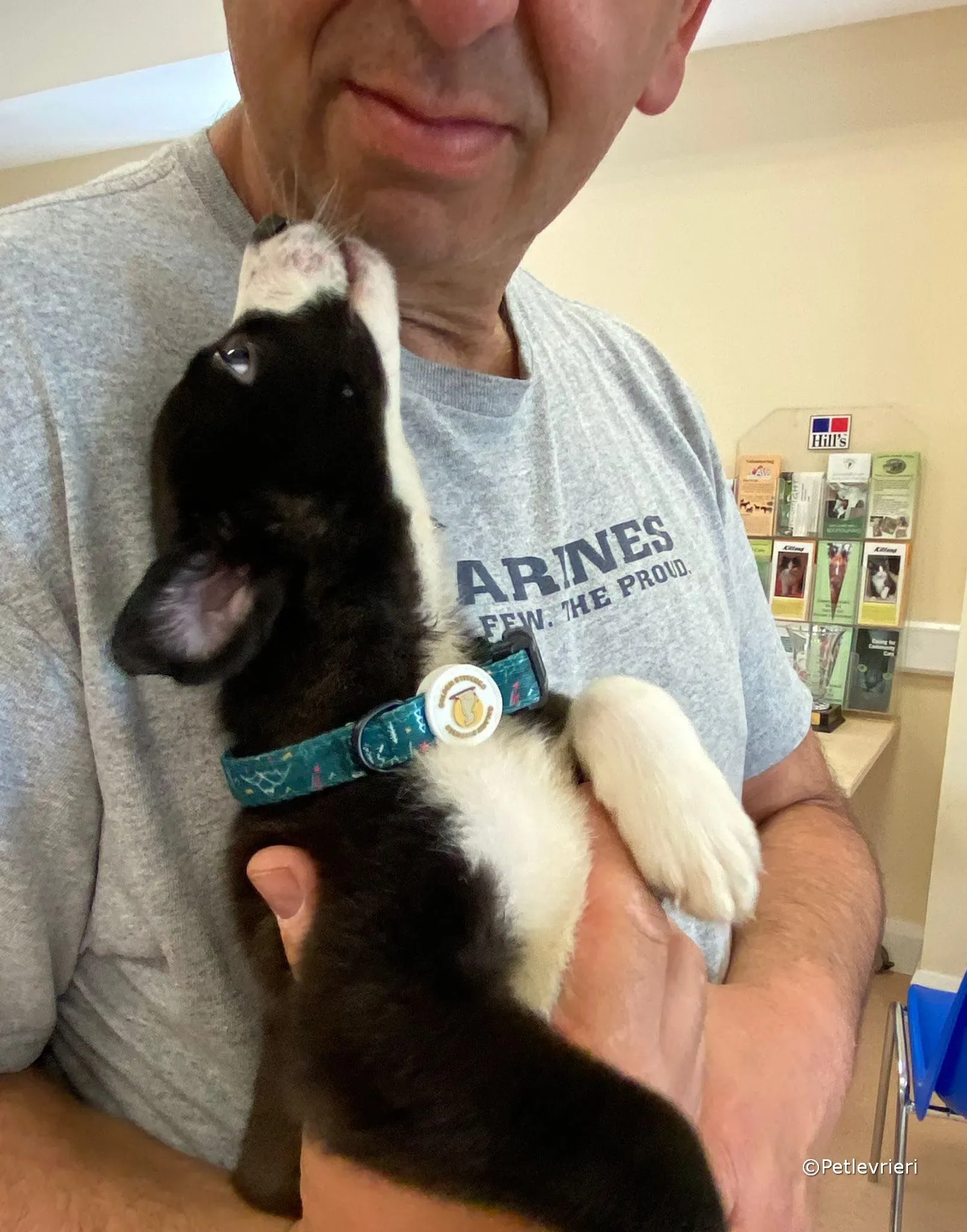 wesley adozione greyhound petlevrieri 02 1