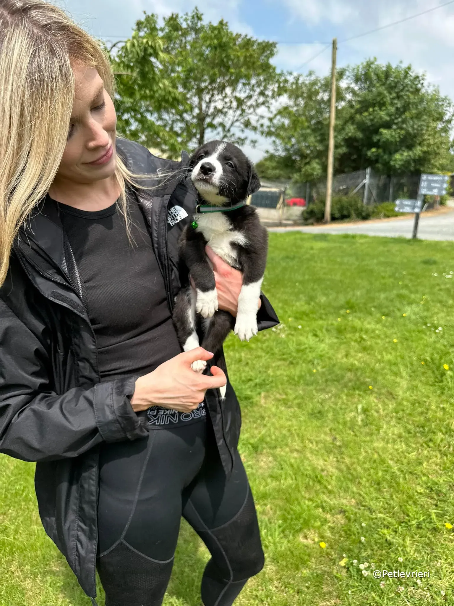 wesley adozione greyhound petlevrieri 03