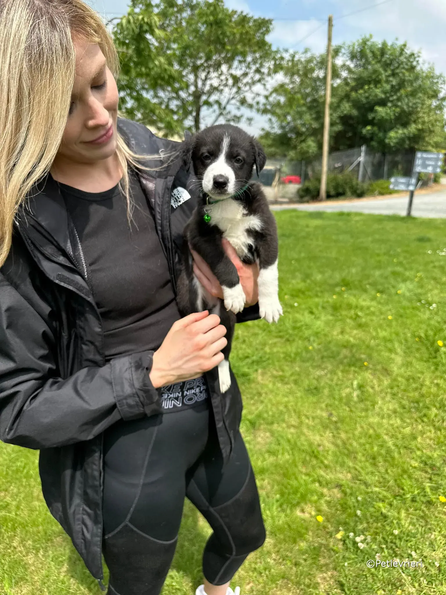 wesley adozione greyhound petlevrieri 04