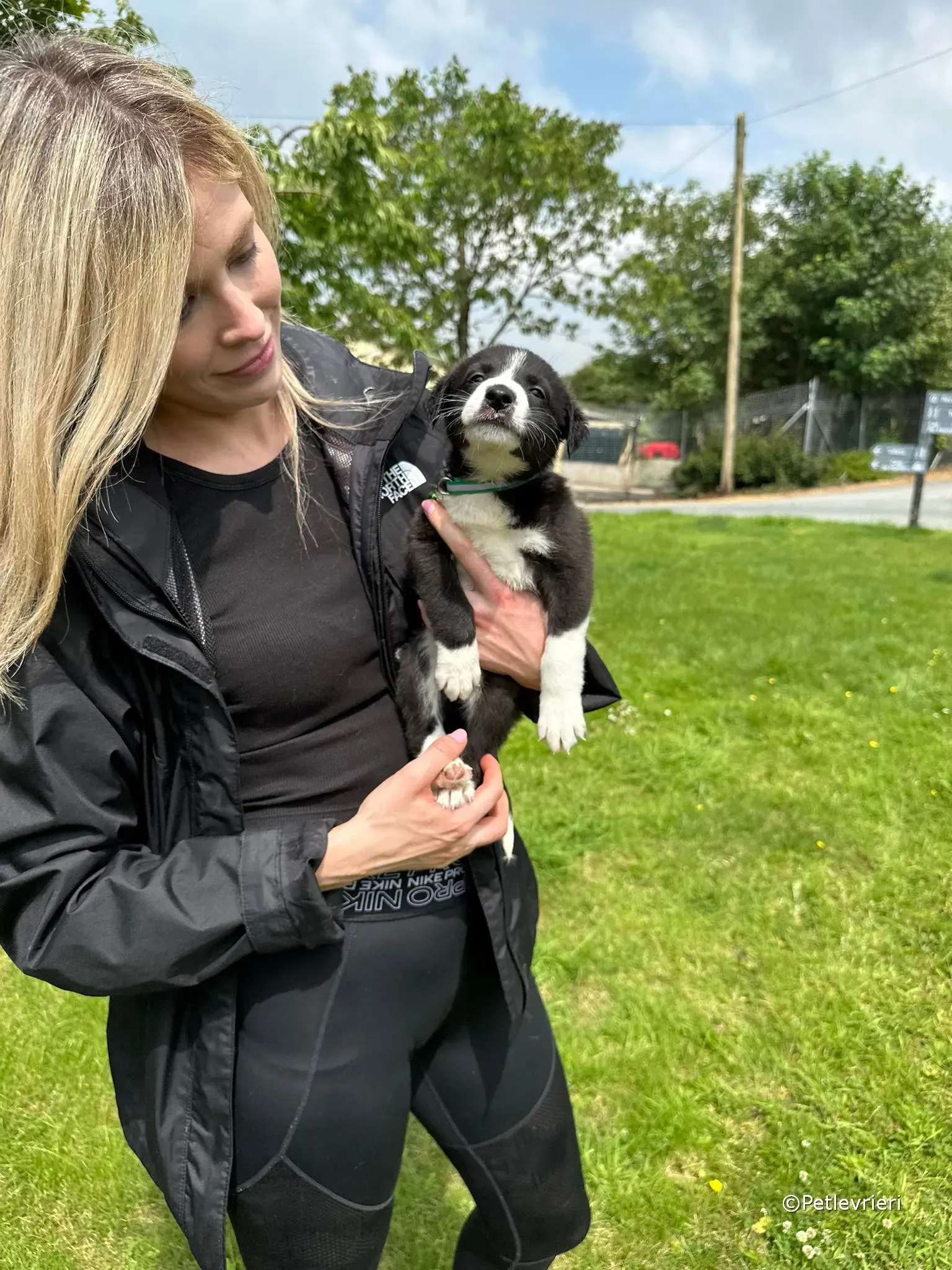 wesley adozione greyhound petlevrieri 09