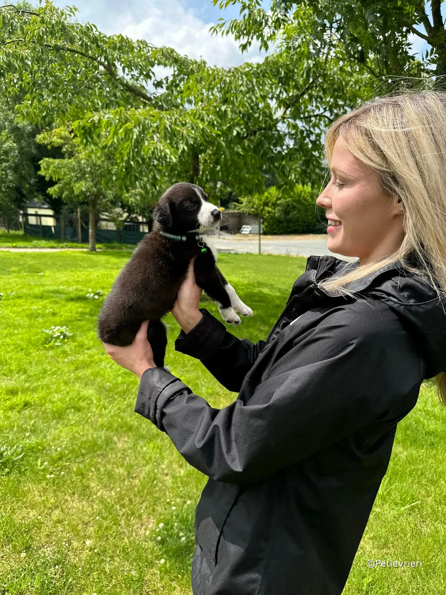 wesley adozione greyhound petlevrieri 14