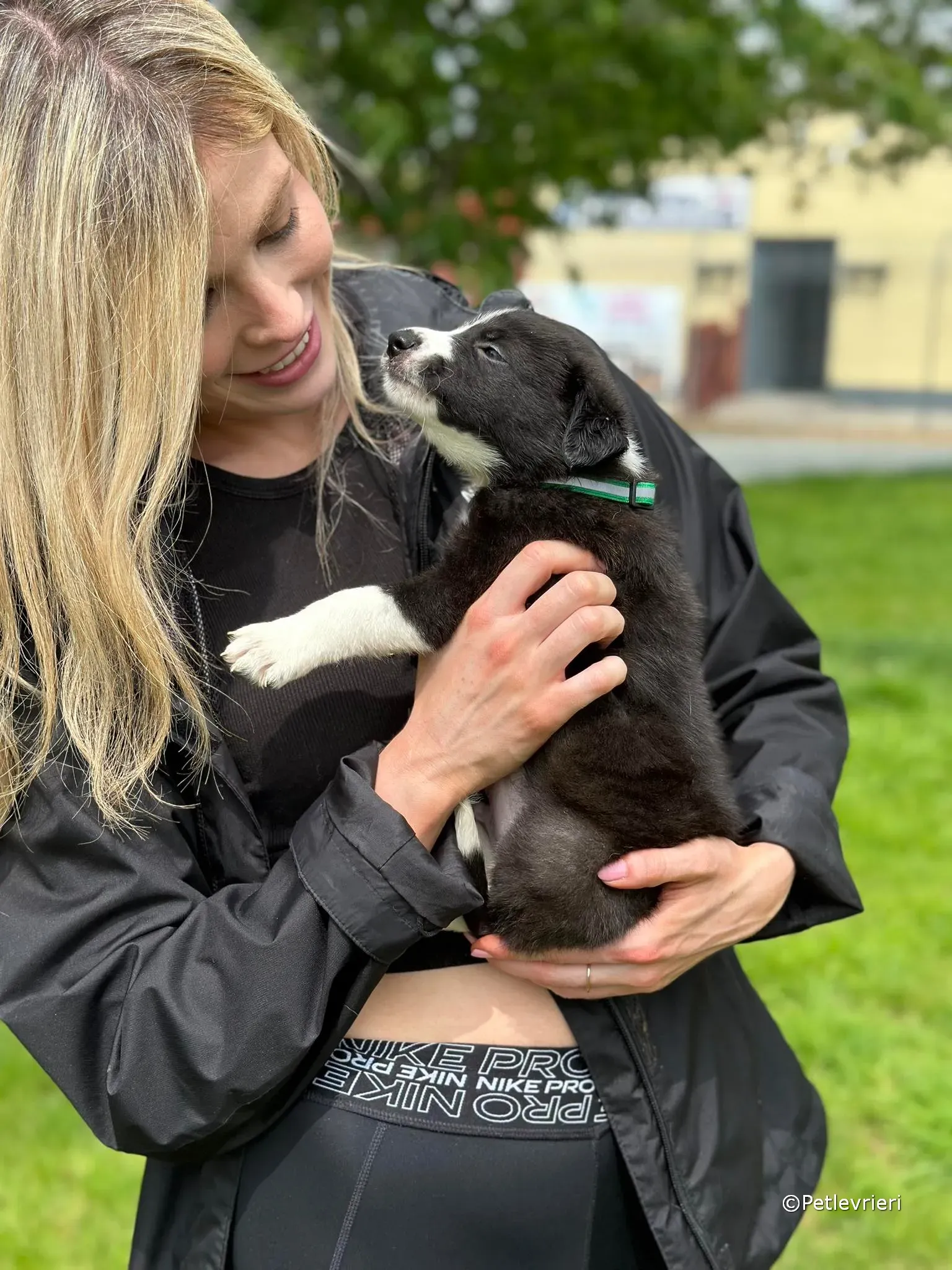 wesley adozione greyhound petlevrieri 20