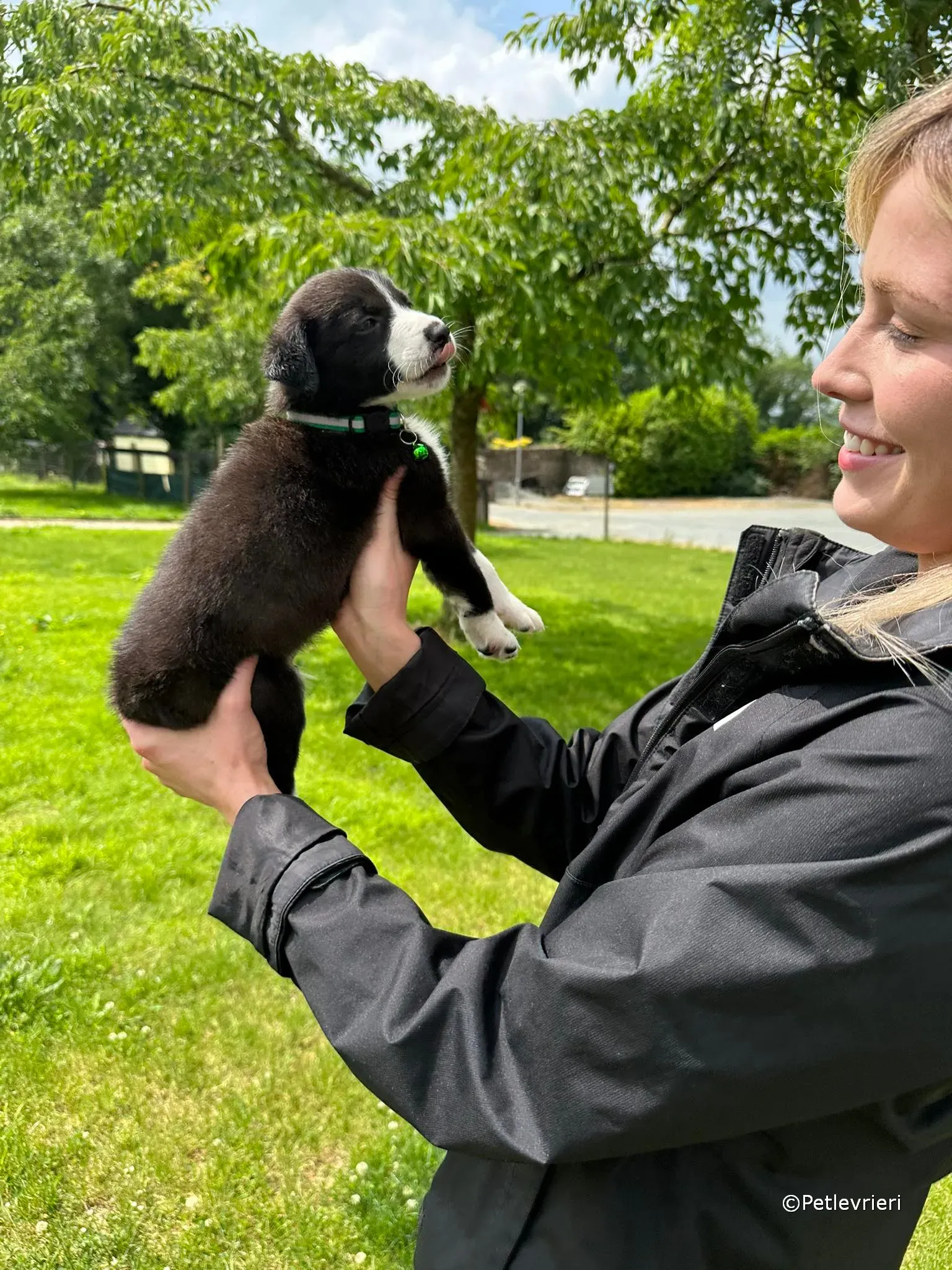 wesley adozione greyhound petlevrieri 32